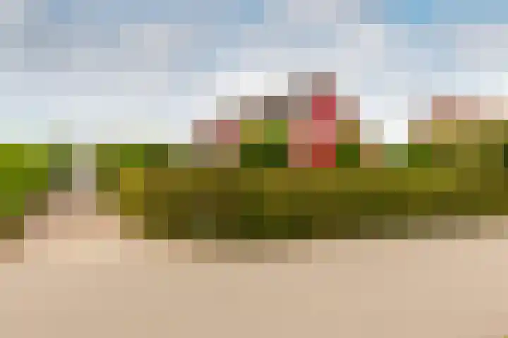 De Kolk 70 Swifterbant thumbnail 38