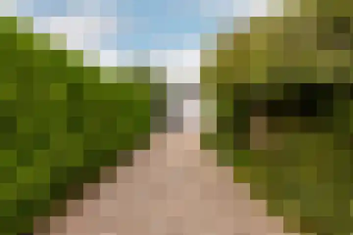 De Kolk 70 Swifterbant thumbnail 39
