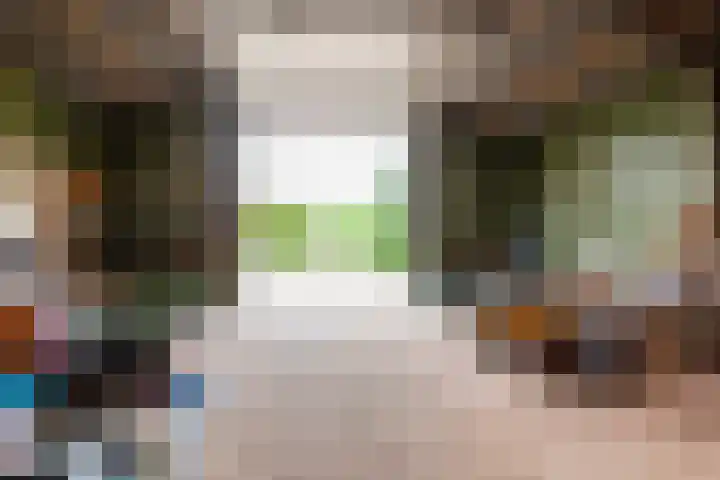 De Kolk 70 Swifterbant thumbnail 40