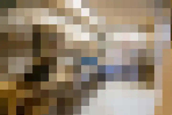 De Kolk 70 Swifterbant thumbnail 45
