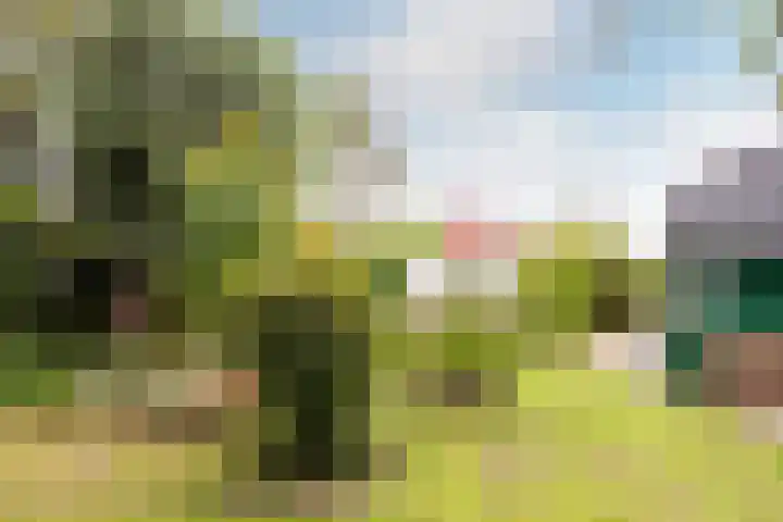 De Kolk 70 Swifterbant thumbnail 47