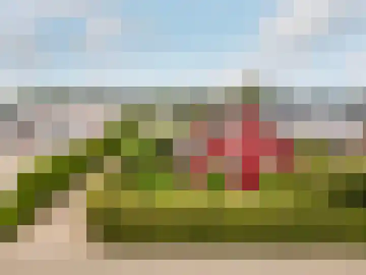 De Kolk 70 Swifterbant thumbnail 48