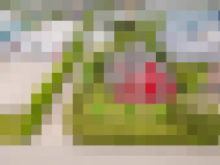 De Kolk 70 Swifterbant thumbnail 49