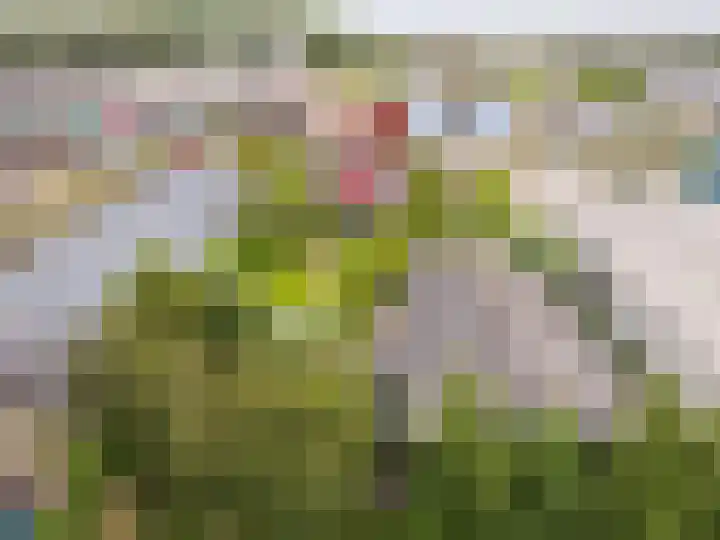 De Kolk 70 Swifterbant thumbnail 50