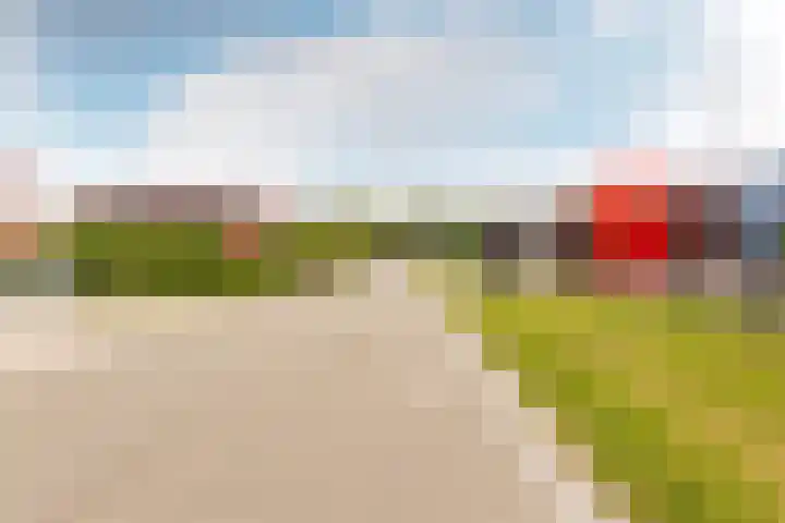 De Kolk 70 Swifterbant thumbnail 52