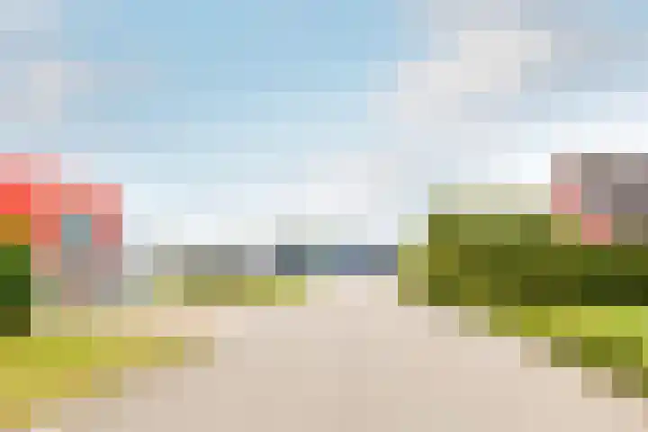 De Kolk 70 Swifterbant thumbnail 53