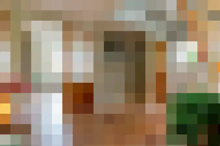 De Kolk 70 Swifterbant thumbnail 7
