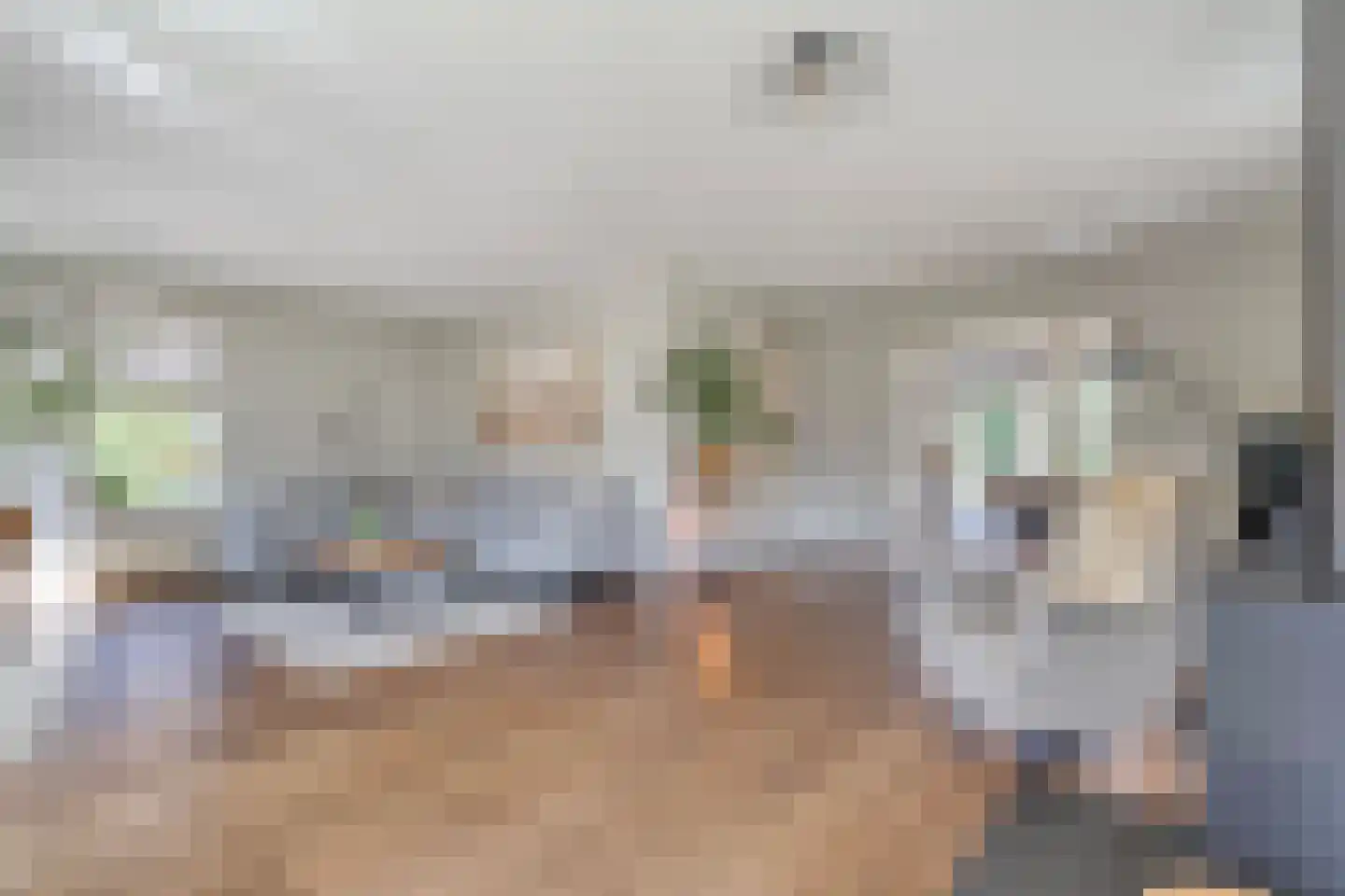 De Kolk 8 Hardenberg thumbnail 13