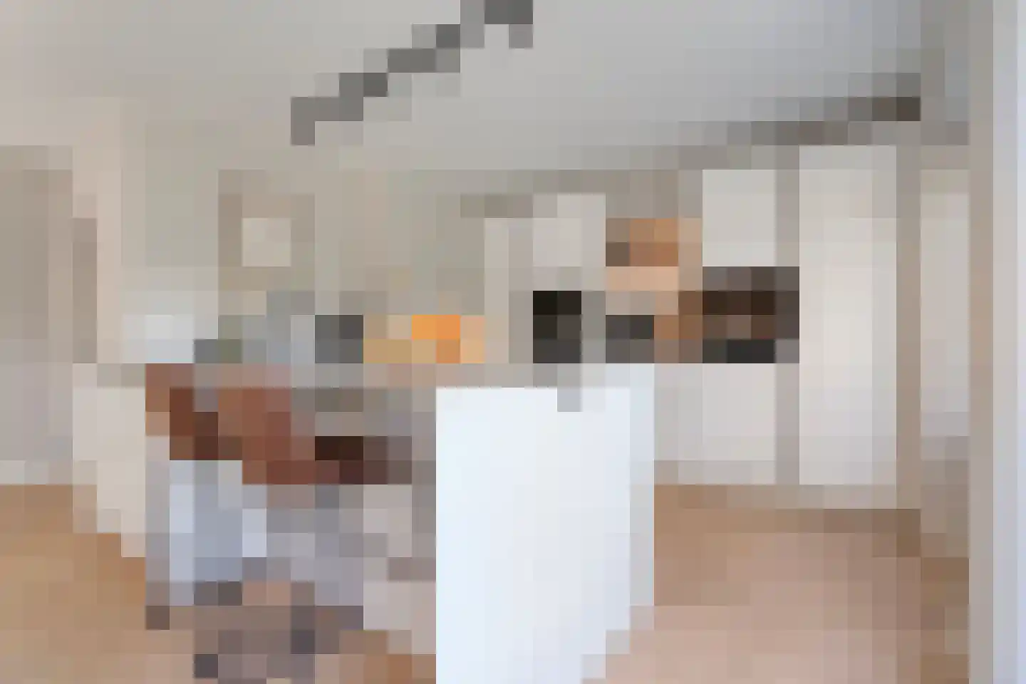 De Kolk 8 Hardenberg thumbnail 18