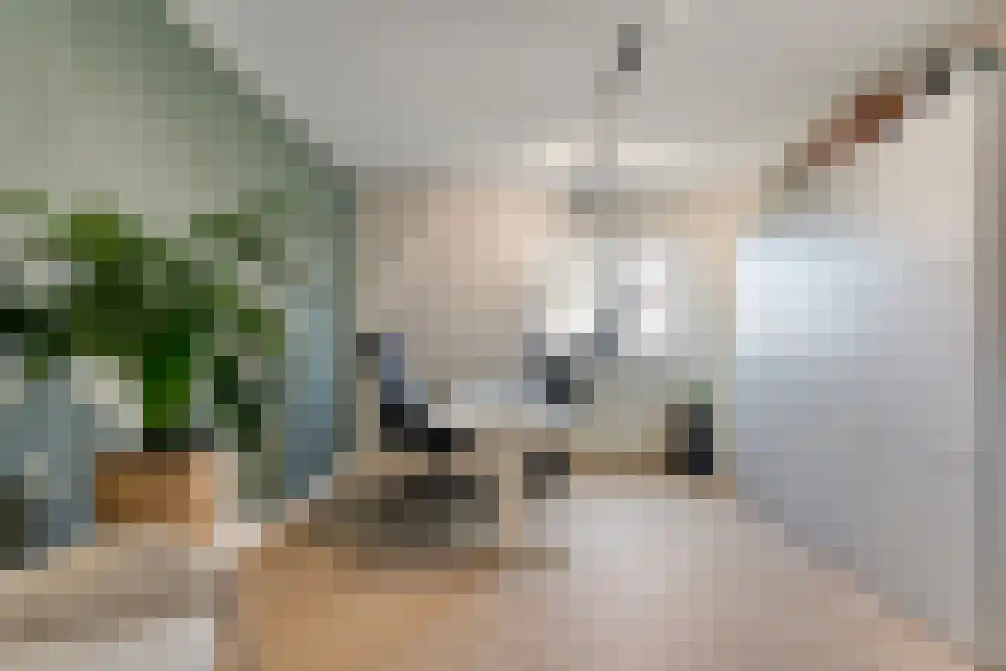 De Kolk 8 Hardenberg thumbnail 30