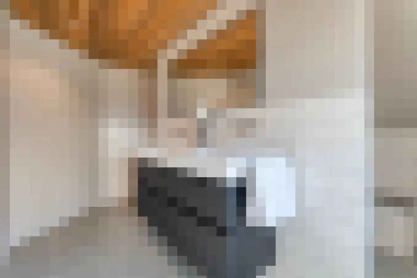 De Kolk 8 Hardenberg thumbnail 41