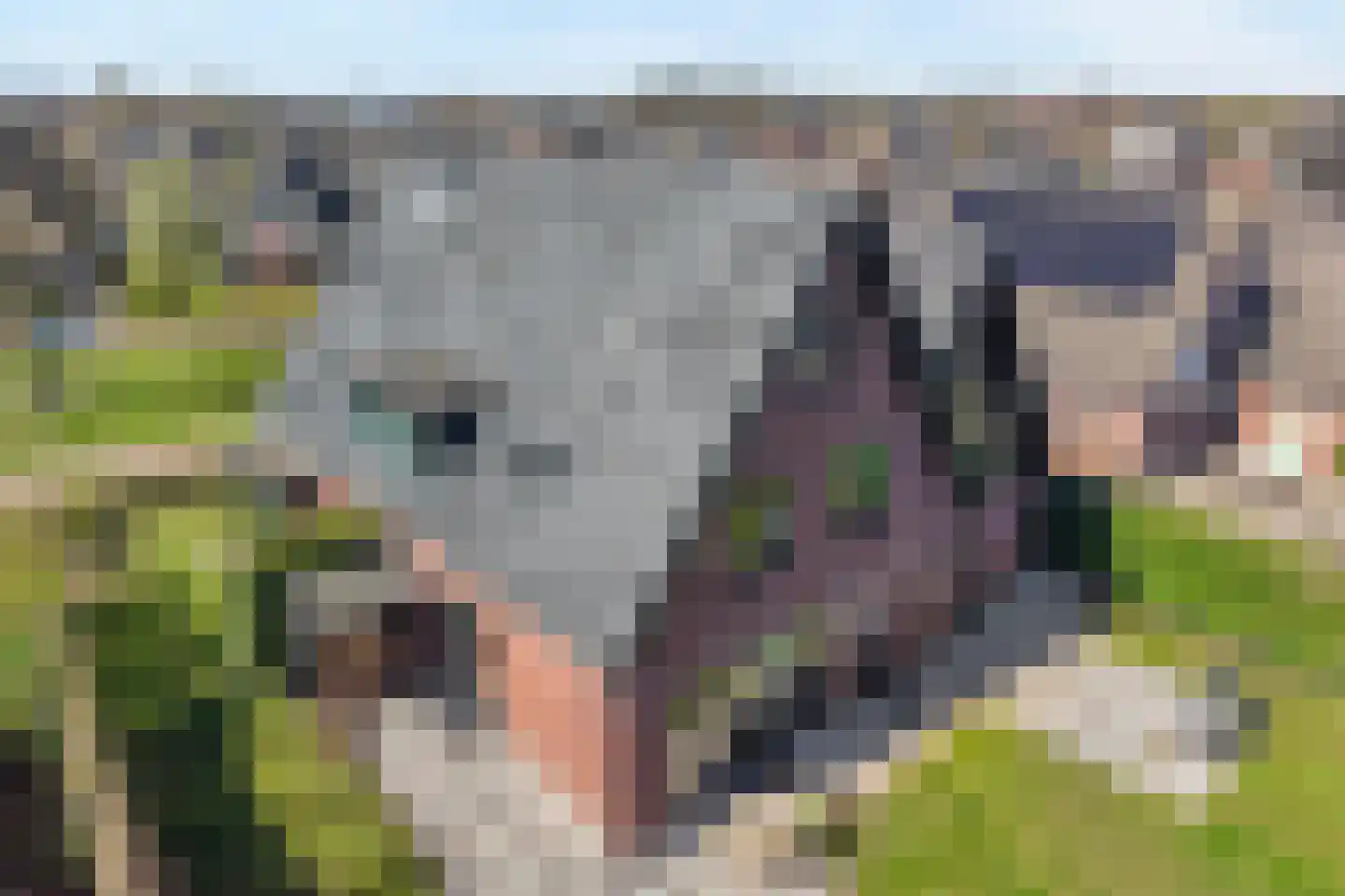 De Kolk 8 Hardenberg thumbnail 61