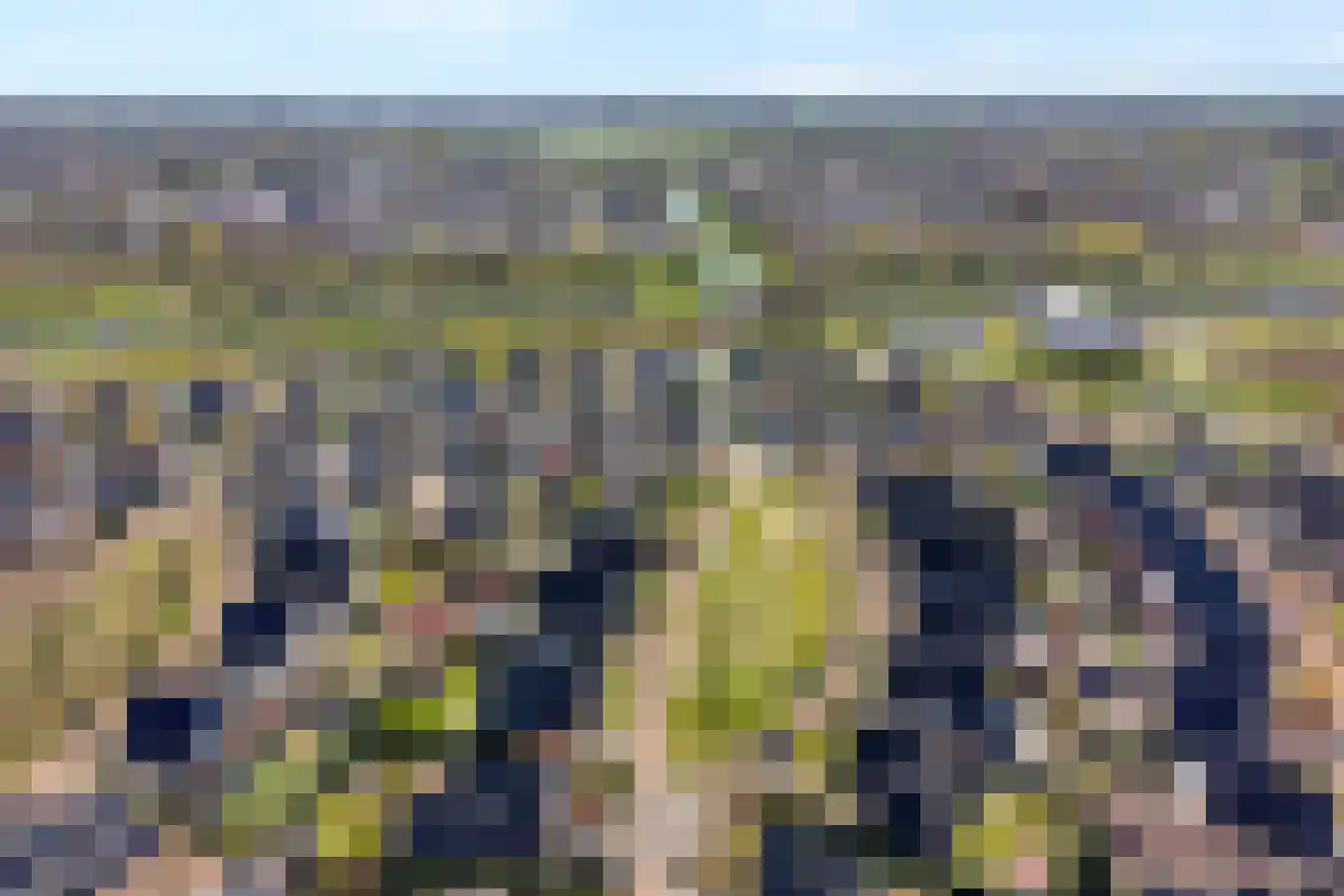 De Kolk 8 Hardenberg thumbnail 65