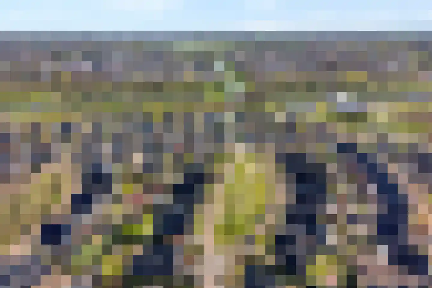 De Kolk 8 Hardenberg thumbnail 67