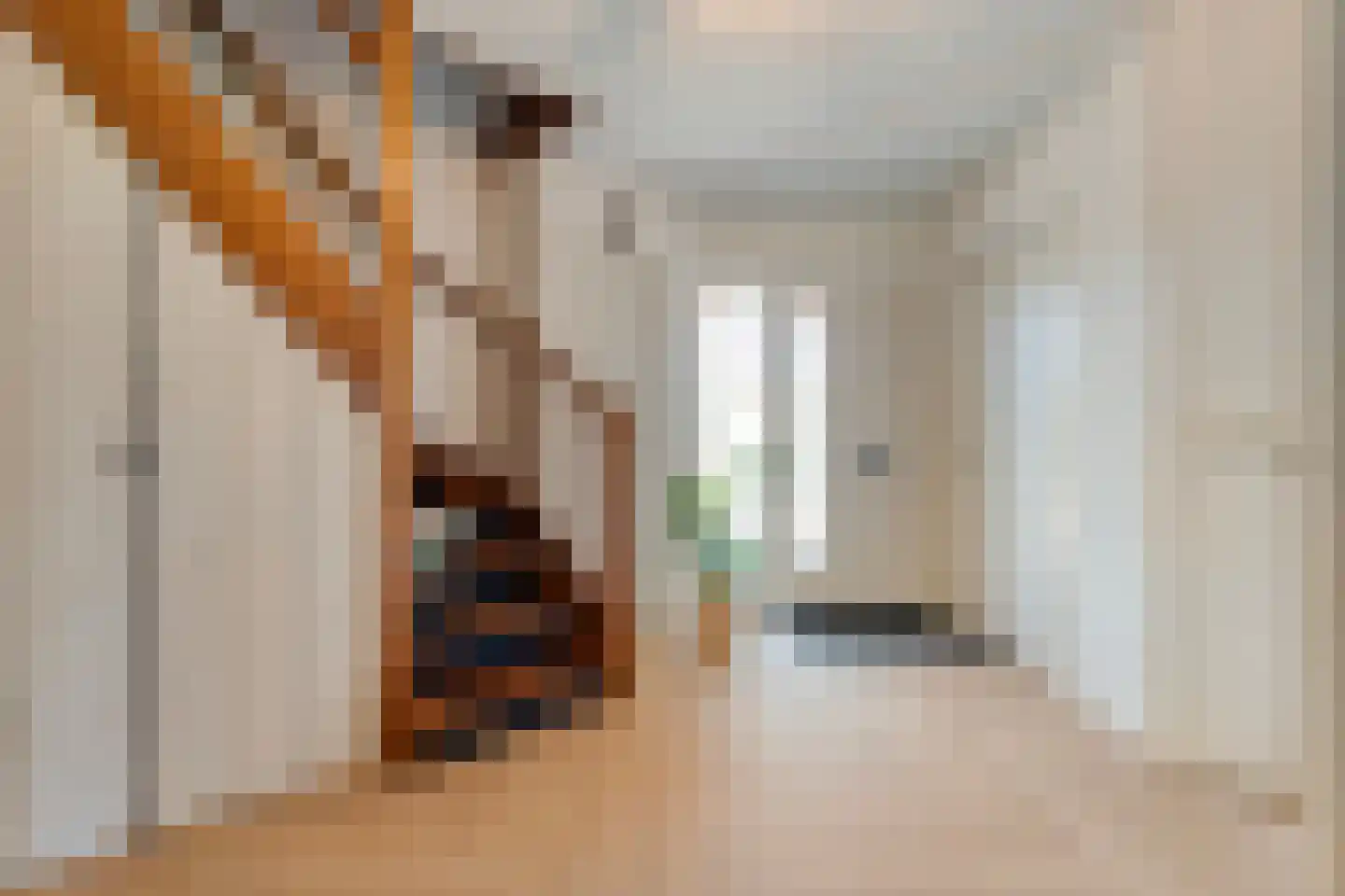 De Kolk 8 Hardenberg thumbnail 9
