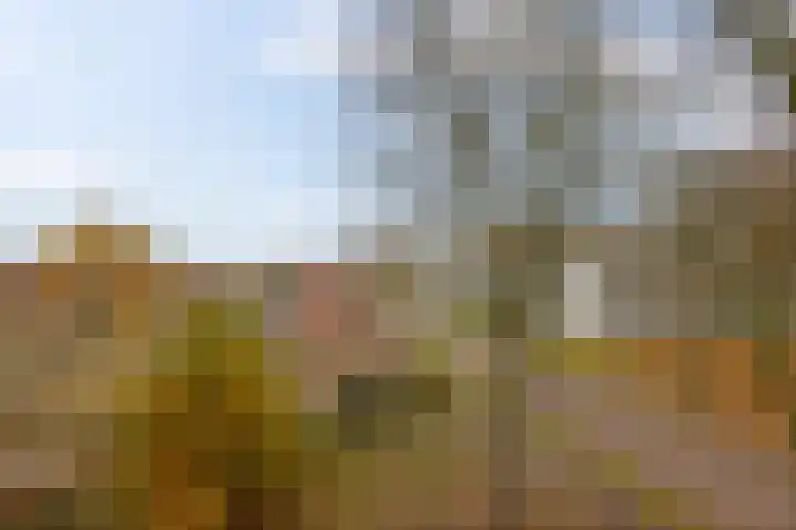 De Kolken 87 Drachten thumbnail 30