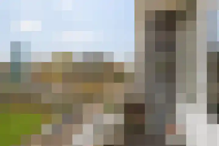 De Kolken 87 Drachten thumbnail 32