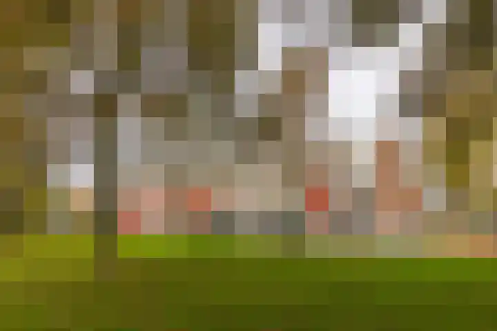 De Kolken 87 Drachten thumbnail 36