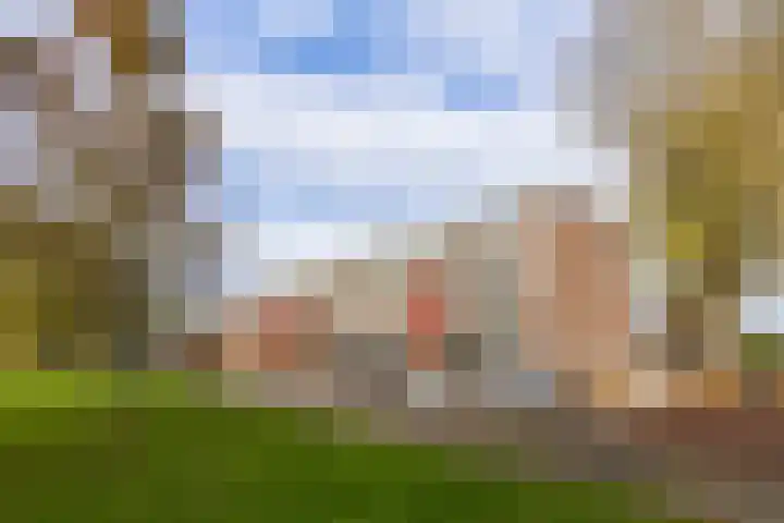De Kolken 87 Drachten thumbnail 37