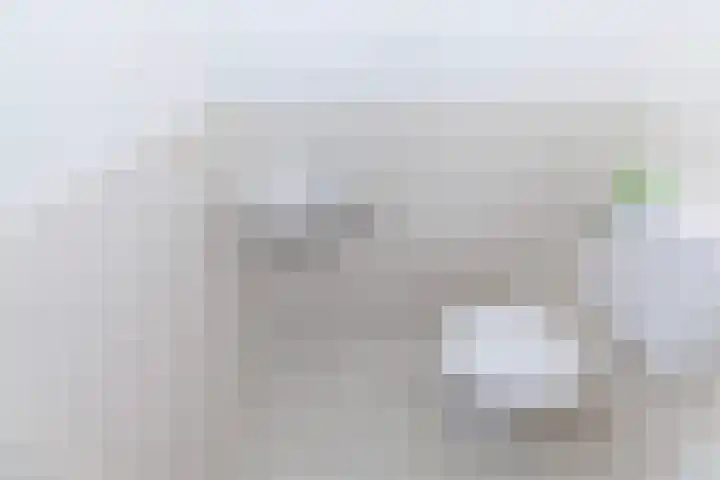 De Kolmar 1 Mantgum thumbnail 21