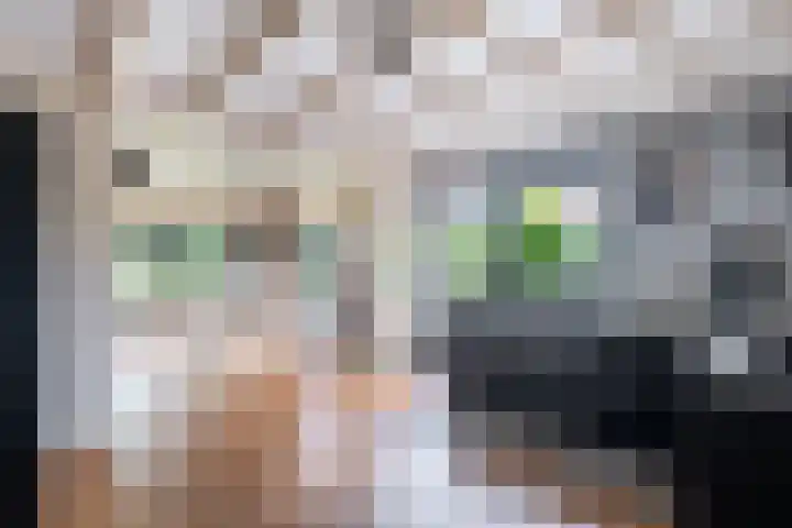 De Kolmar 1 Mantgum thumbnail 27