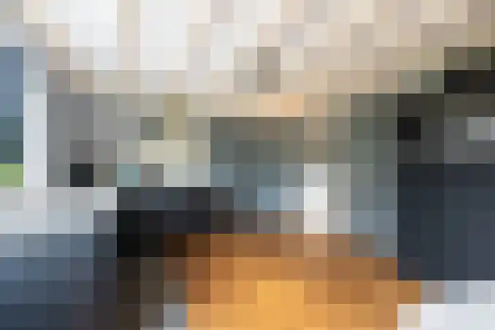De Kolmar 1 Mantgum thumbnail 29
