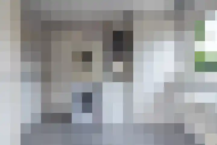 De Kolmar 1 Mantgum thumbnail 30