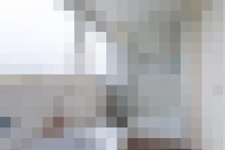 De Kolmar 1 Mantgum thumbnail 44