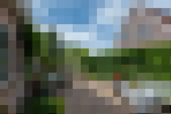 De Kolmar 1 Mantgum thumbnail 5