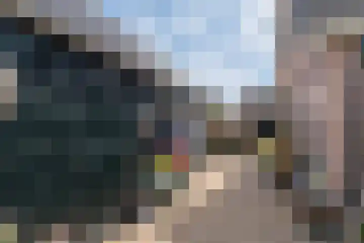De Kolmar 1 Mantgum thumbnail 50