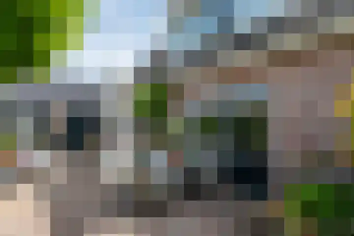 De Kolmar 1 Mantgum thumbnail 54