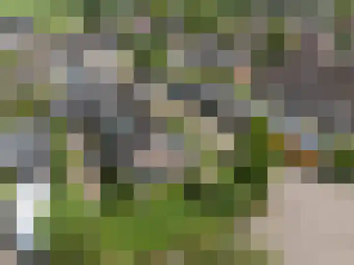 De Kolmar 1 Mantgum thumbnail 8