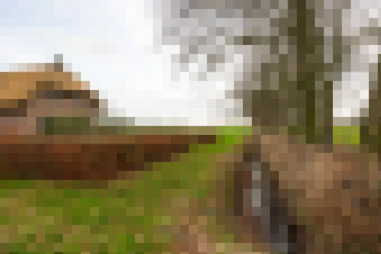 De Kolonie 1 a Vinkenbuurt thumbnail 69