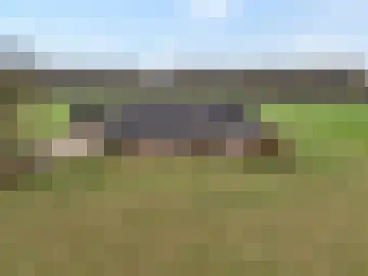 De Kolonie 1 Balkbrug thumbnail 10