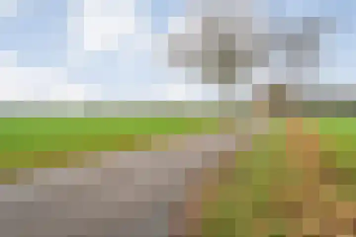 De Kolonie 1 Balkbrug thumbnail 16