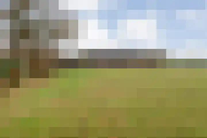 De Kolonie 1 Balkbrug thumbnail 17