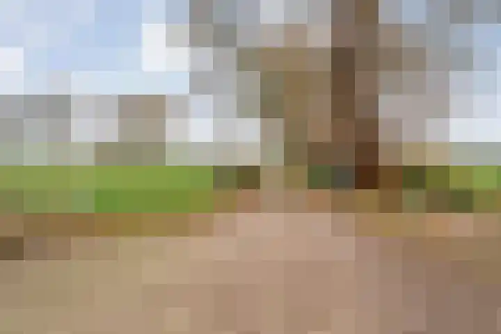 De Kolonie 1 Balkbrug thumbnail 18
