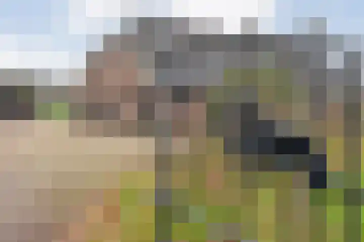 De Kolonie 1 Balkbrug thumbnail 19