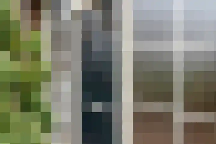 De Kolonie 1 Balkbrug thumbnail 22
