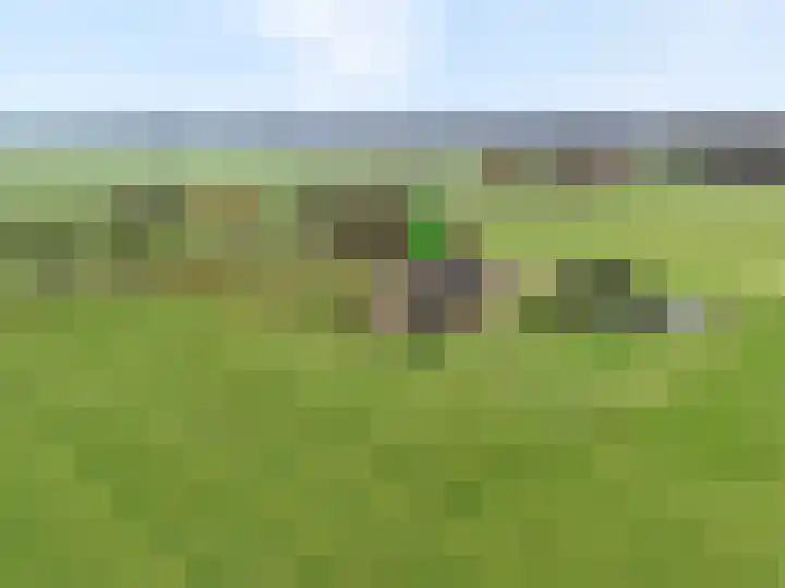 De Kolonie 1 Balkbrug thumbnail 4