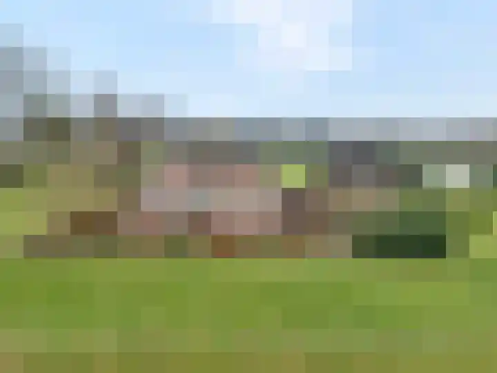 De Kolonie 1 Balkbrug thumbnail 6