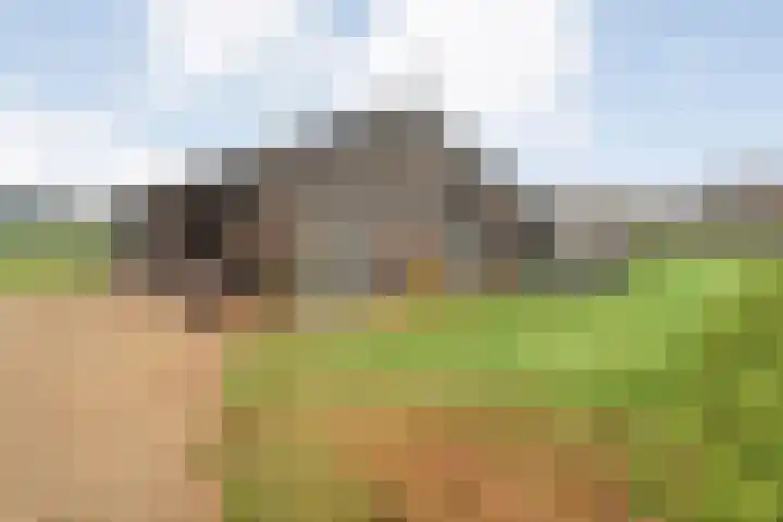 De Kolonie 1 Balkbrug thumbnail 64