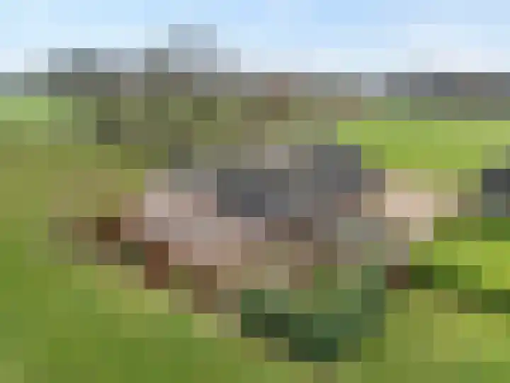 De Kolonie 1 Balkbrug thumbnail 7