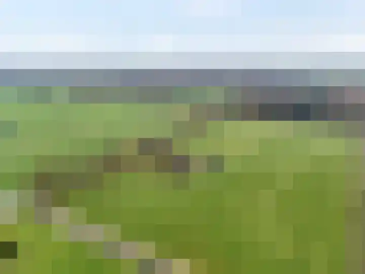 De Kolonie 1 Balkbrug thumbnail 8