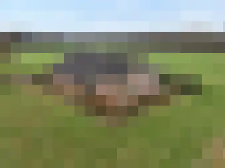 De Kolonie 1 Balkbrug thumbnail 9
