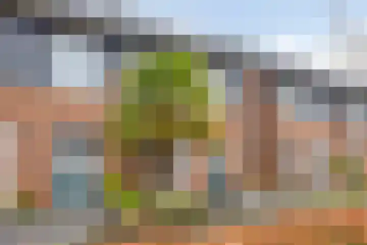 De Kolper 9 Megen thumbnail 10