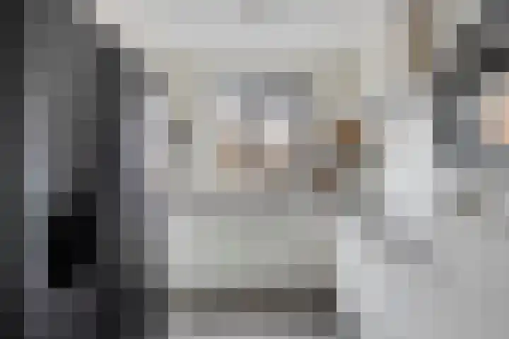 De Kolper 9 Megen thumbnail 17