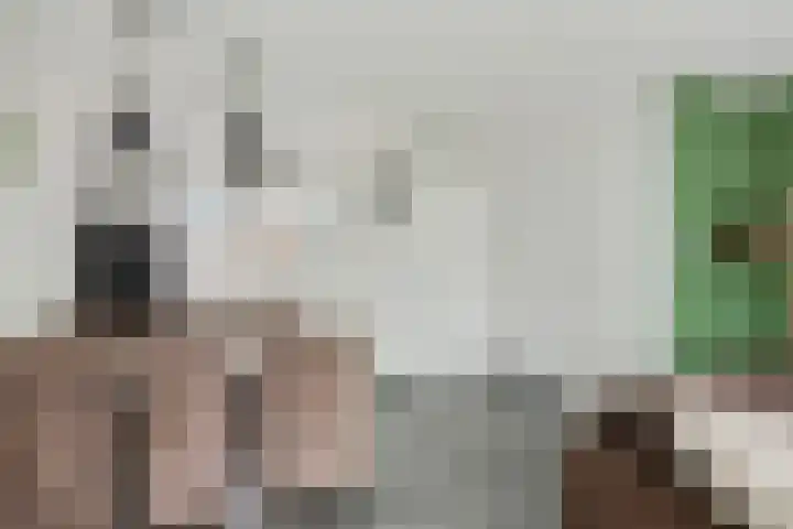 De Kolper 9 Megen thumbnail 19