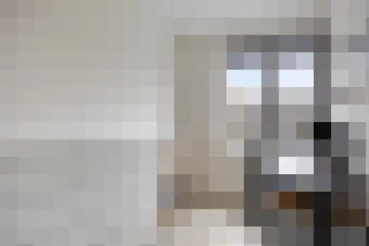 De Kolper 9 Megen thumbnail 29