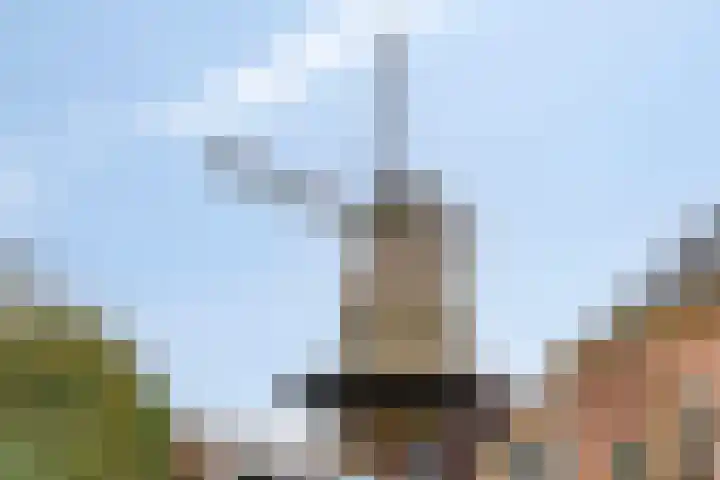 De Kolper 9 Megen thumbnail 41